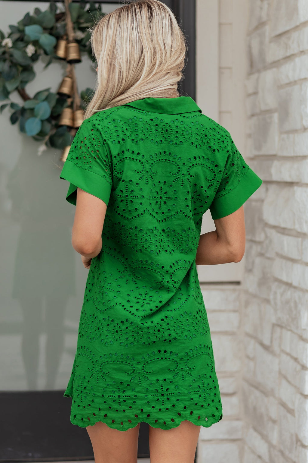 Solid Embroidered Eyelet Collared V-Neck Mini Dress