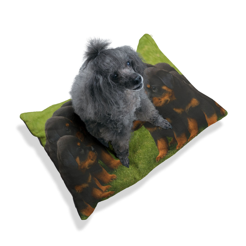 Pet Bed – Plush Dog Bed, 3 Size Options