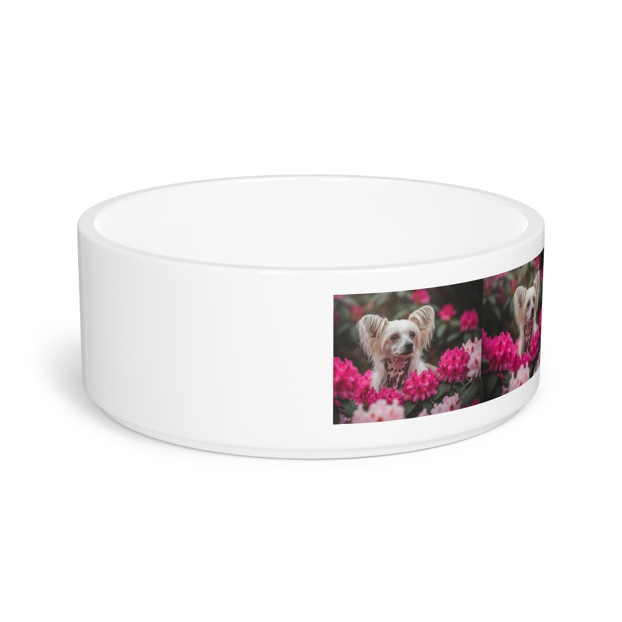 Ceramic Pet Bowl – 16 oz Dog Feeding Bowl