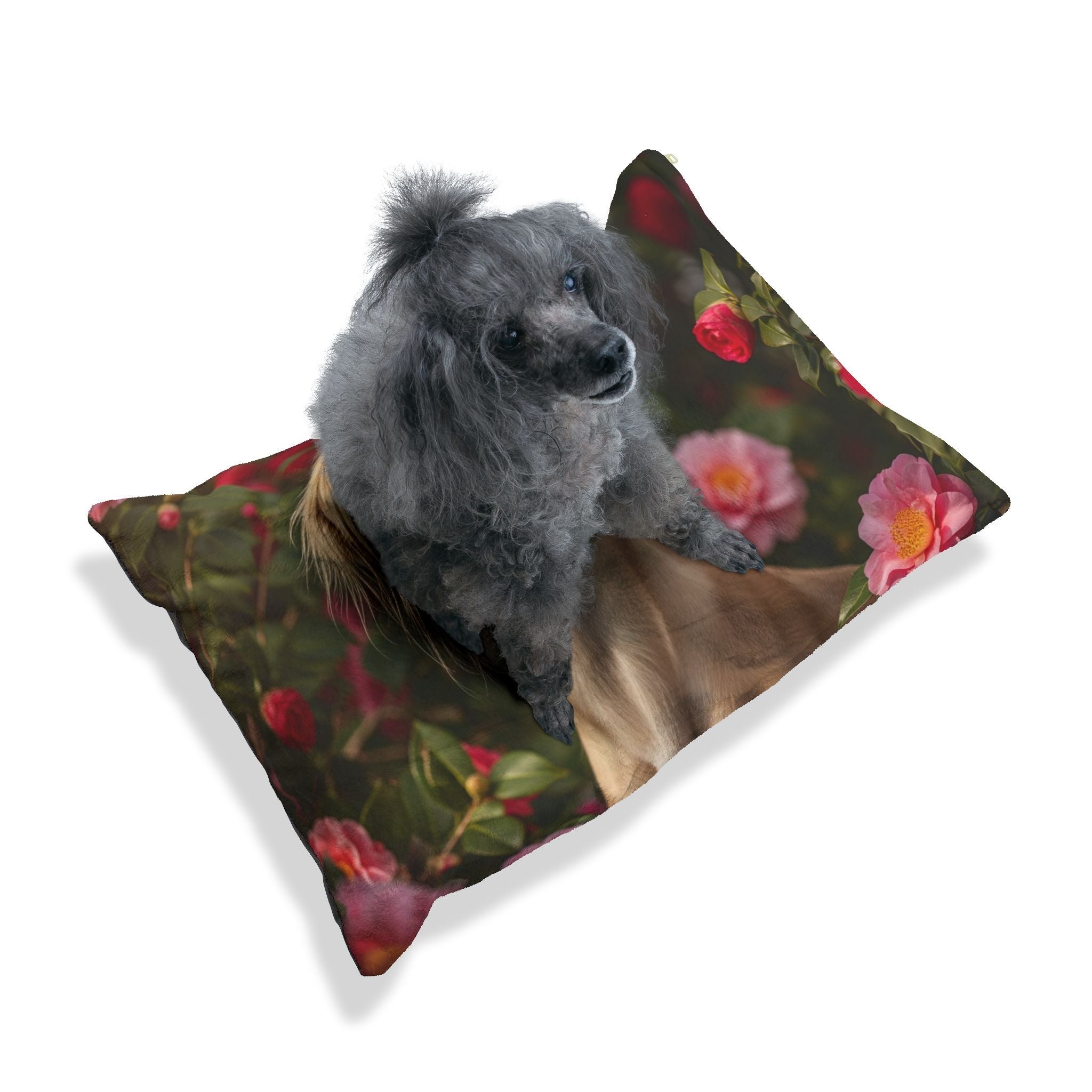 Pet Bed – Plush Dog Bed, 3 Size Options