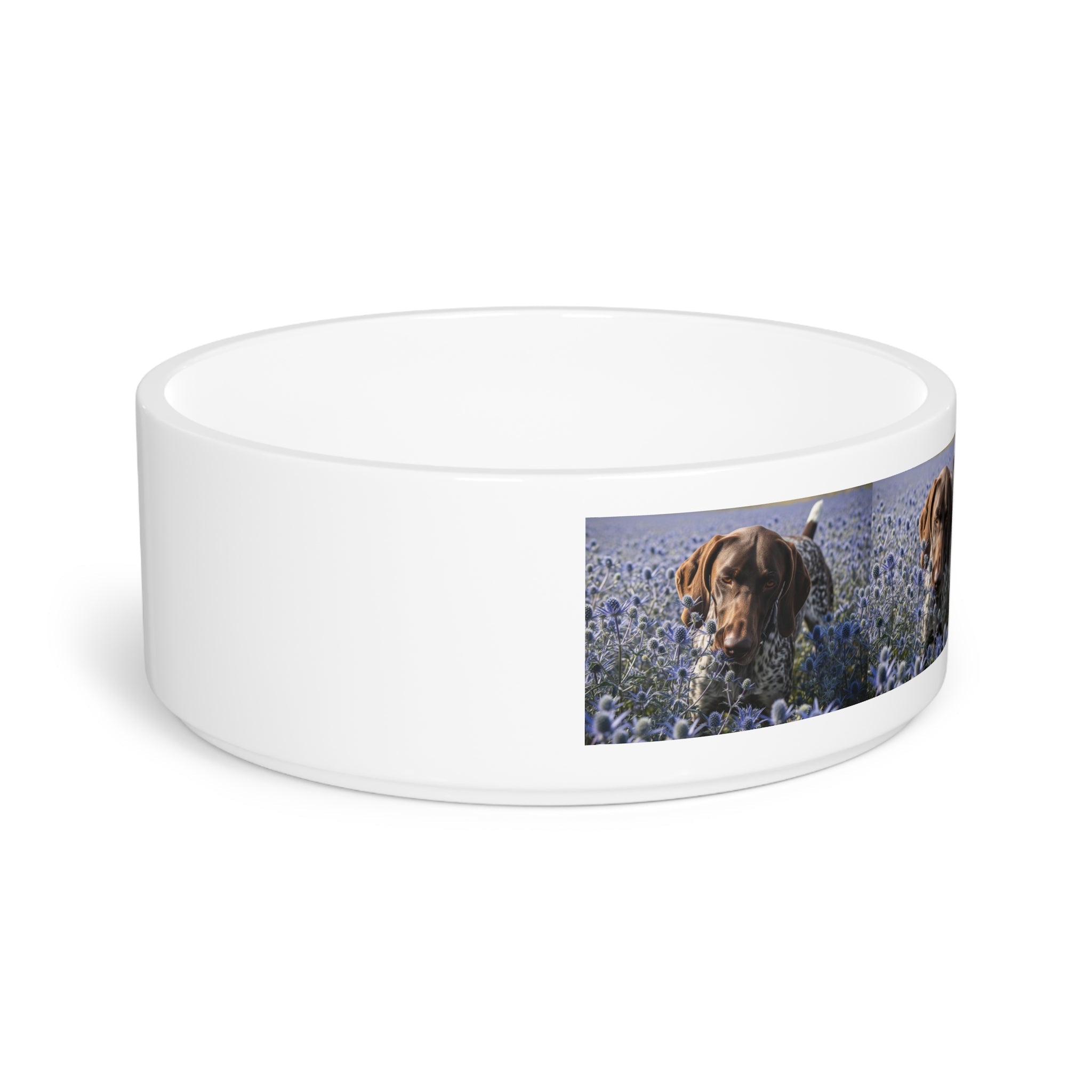 Ceramic Pet Bowl – 16 oz Dog Feeding Bowl