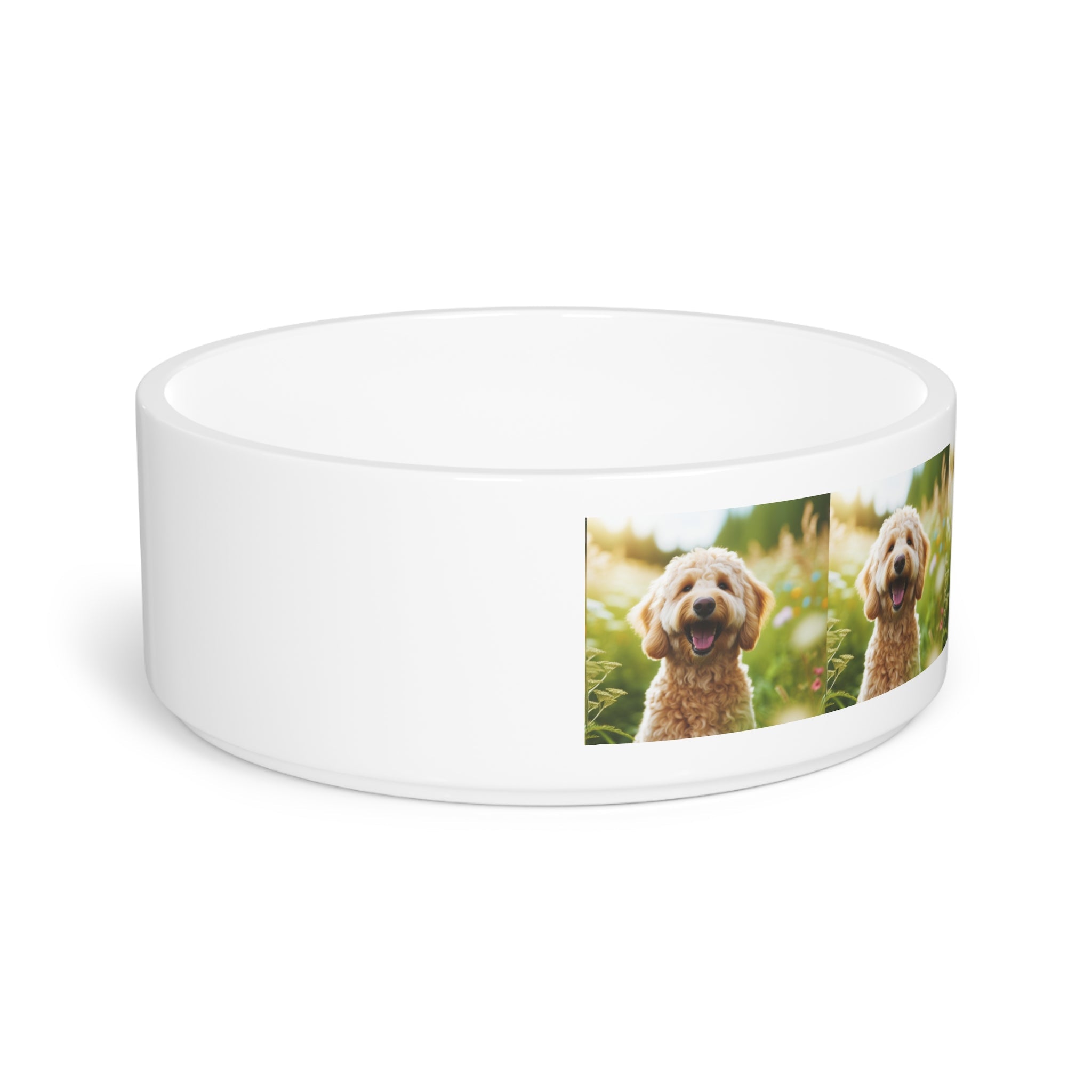 Ceramic Pet Bowl – 16 oz Dog Feeding Bowl