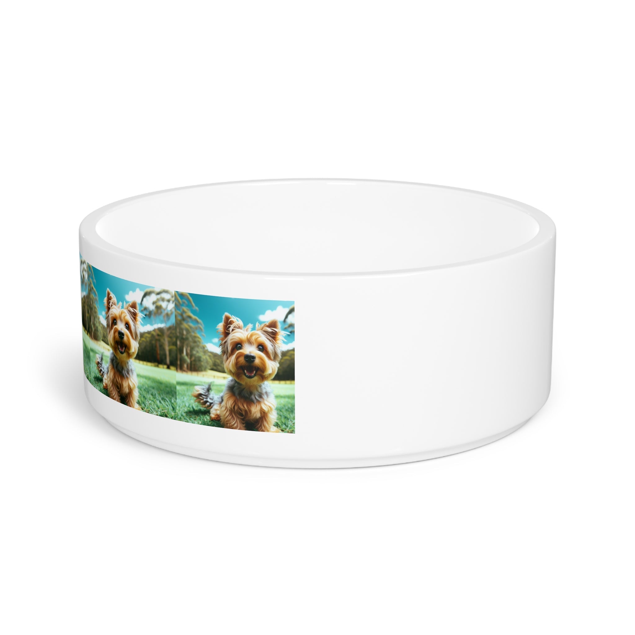 Ceramic Pet Bowl – 16 oz Dog Feeding Bowl