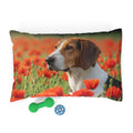 Pet Bed – Plush Dog Bed, 3 Size Options