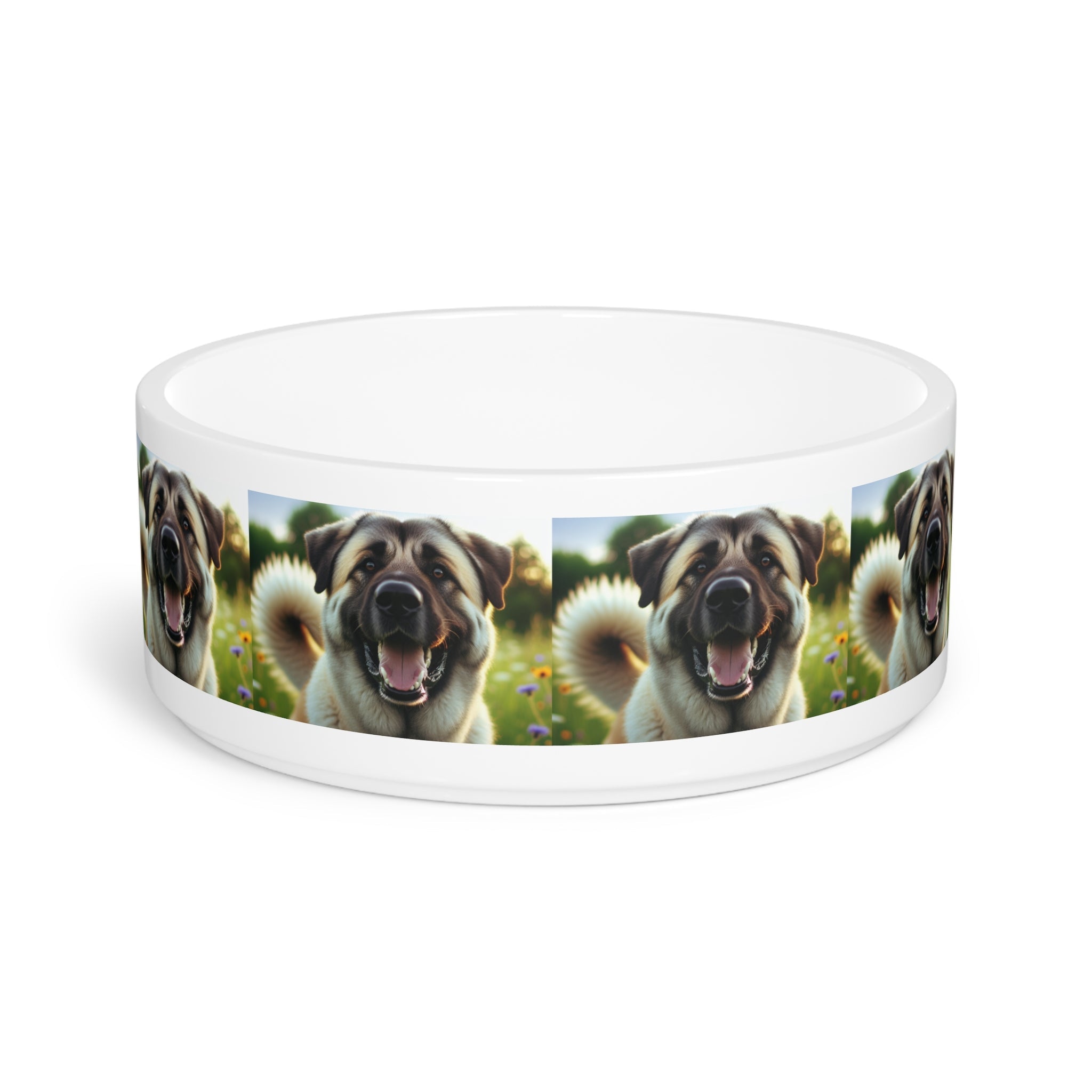 Ceramic Pet Bowl – 16 oz Dog Feeding Bowl