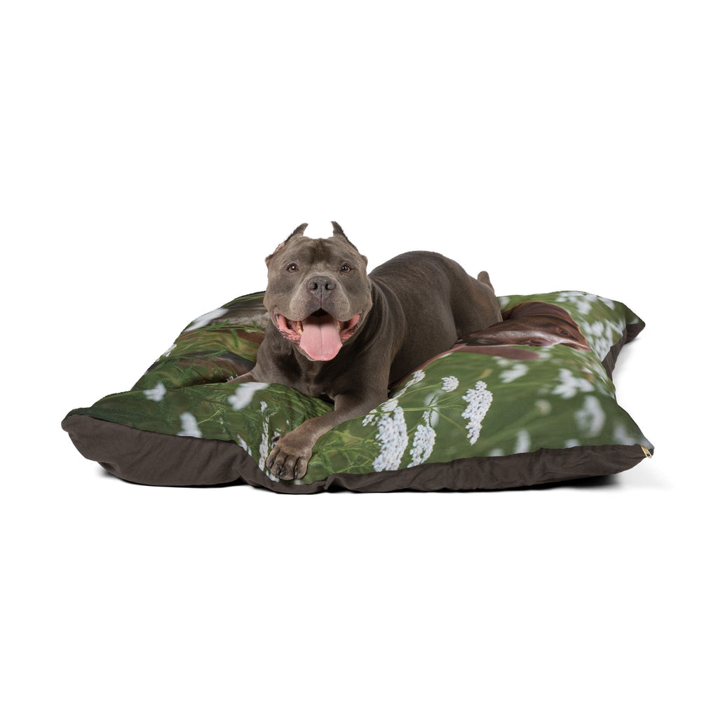 Pet Bed – Plush Dog Bed, 3 Size Options