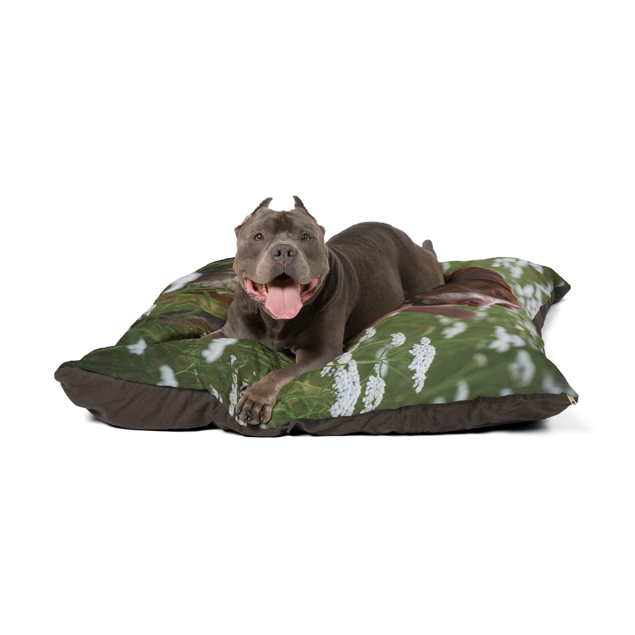Pet Bed – Plush Dog Bed, 3 Size Options