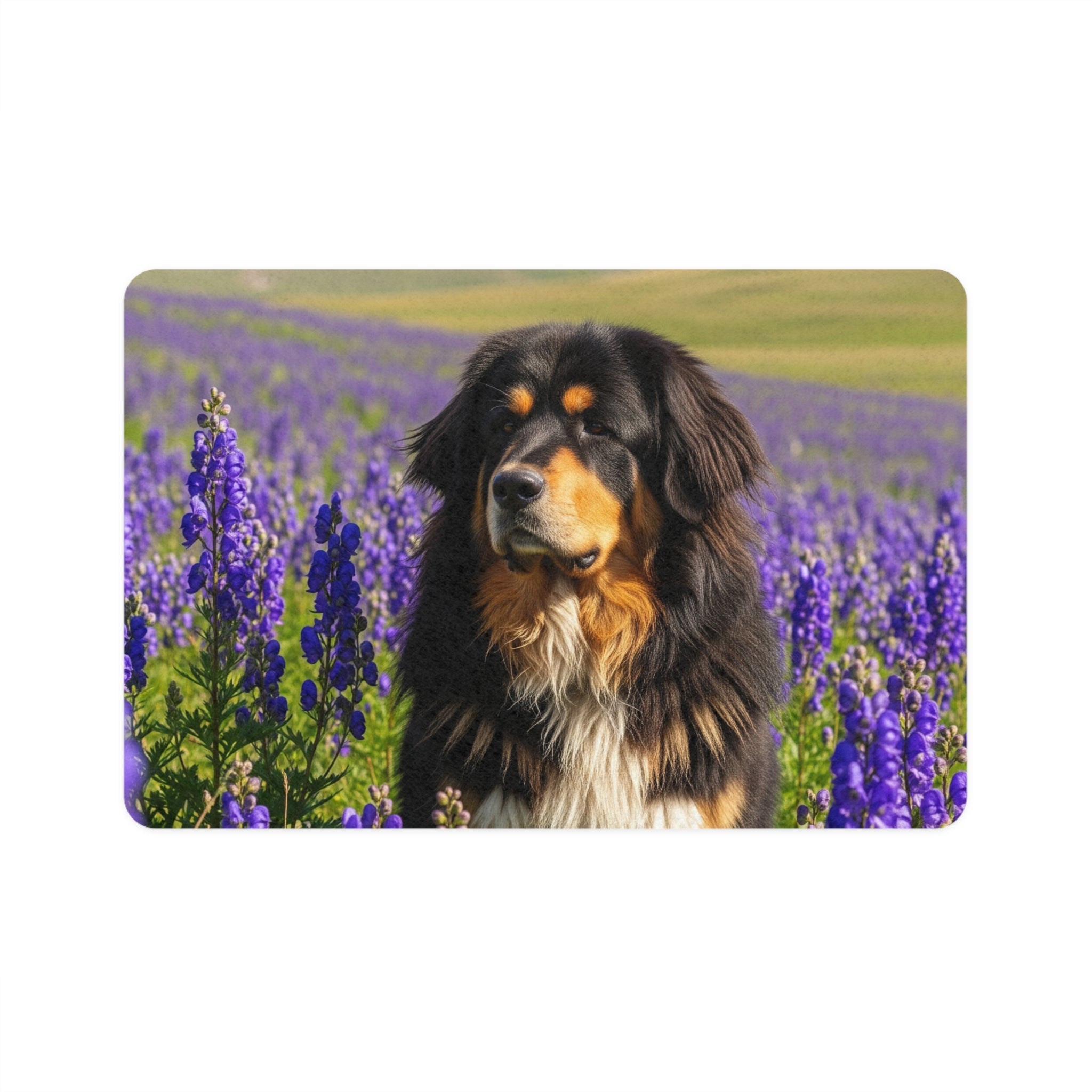 Non-Slip Pet Food Mat – Waterproof Feeding Mat for Dogs