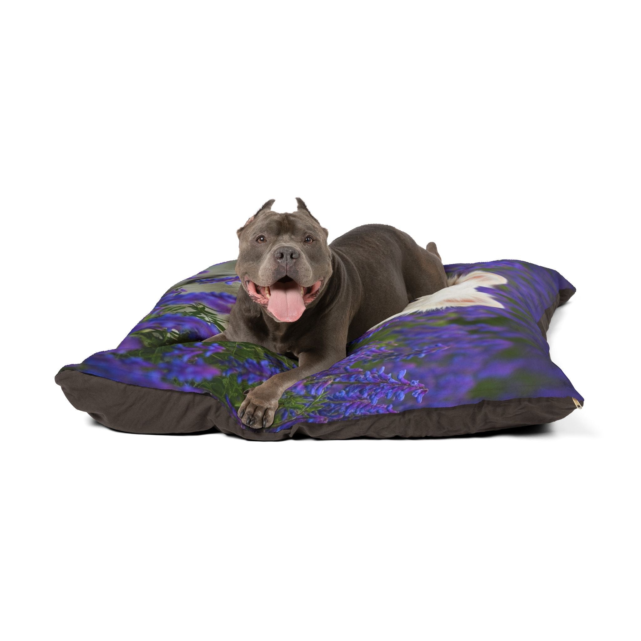 Pet Bed – Plush Dog Bed, 3 Size Options