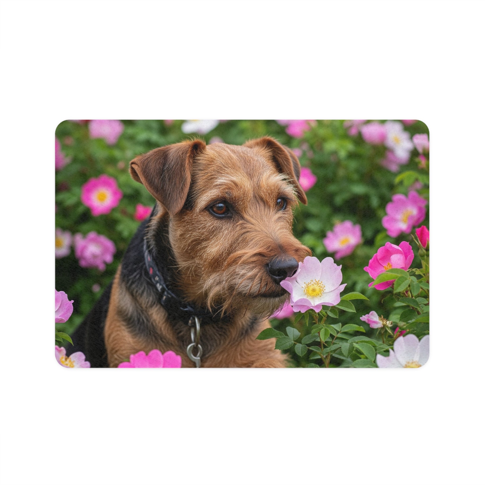 Non-Slip Pet Food Mat – Waterproof Feeding Mat for Dogs