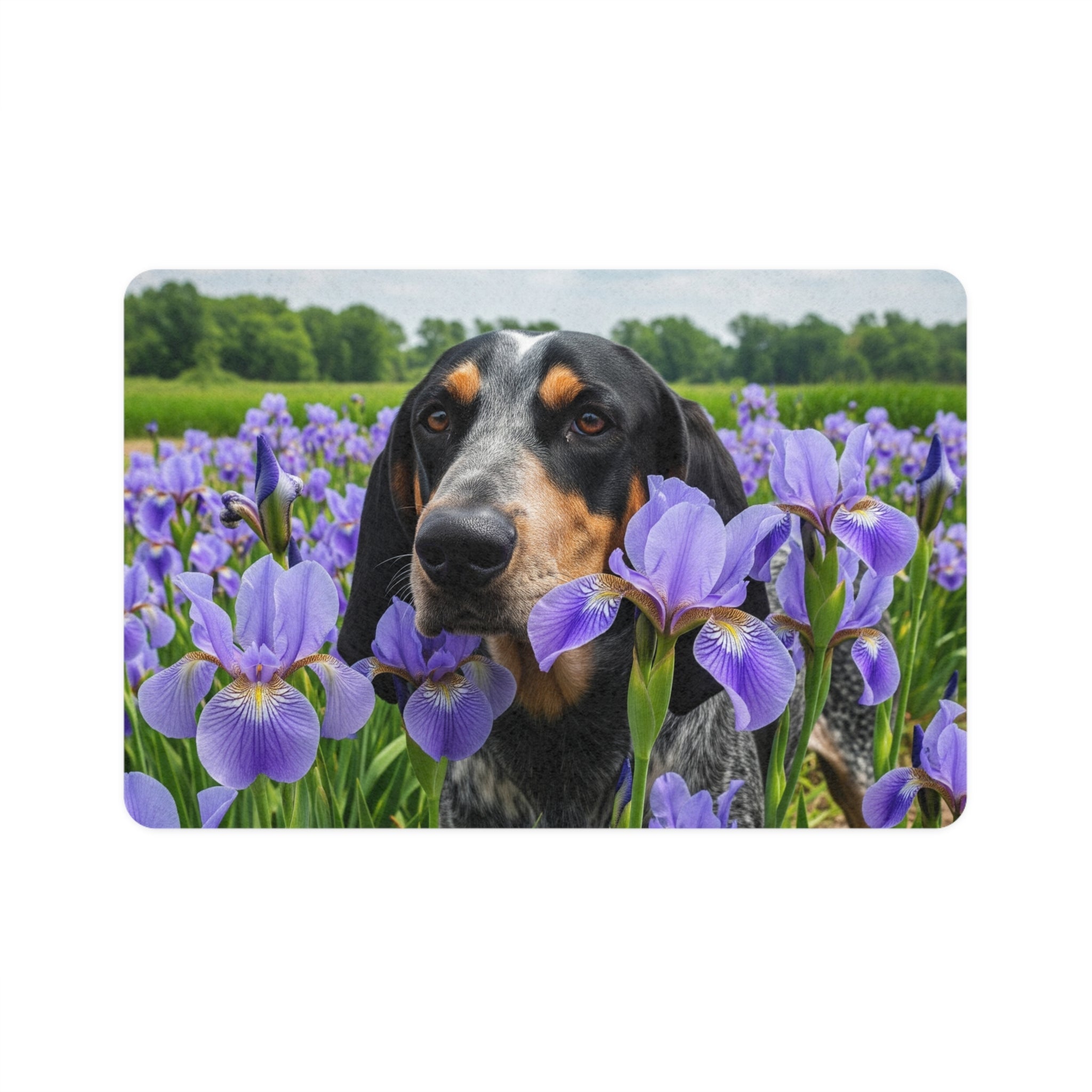 Non-Slip Pet Food Mat – Waterproof Feeding Mat for Dogs