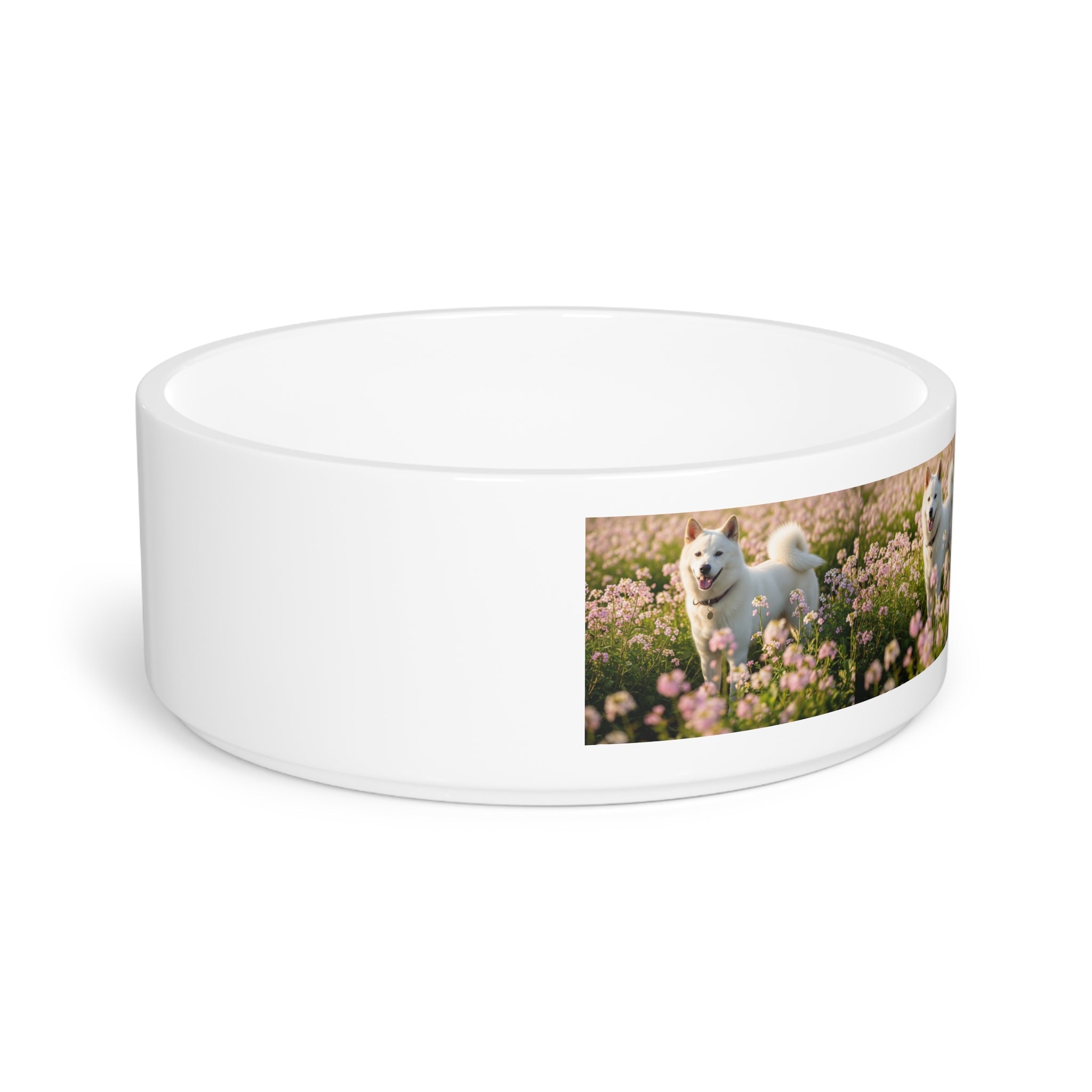 Ceramic Pet Bowl – 16 oz Dog Feeding Bowl