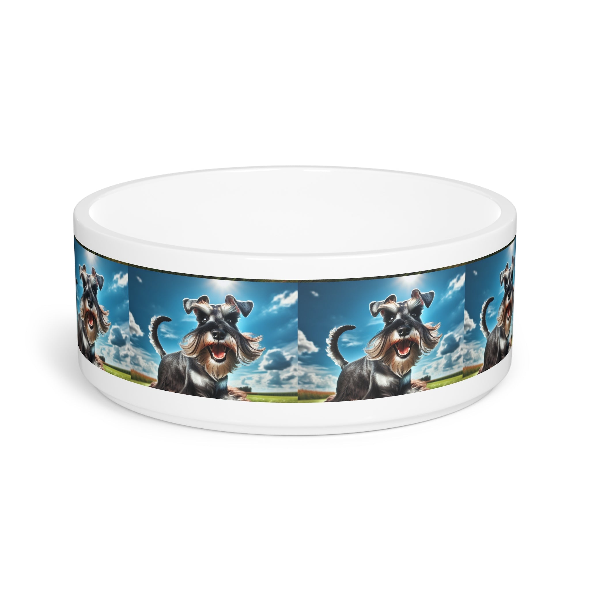 Ceramic Pet Bowl – 16 oz Dog Feeding Bowl