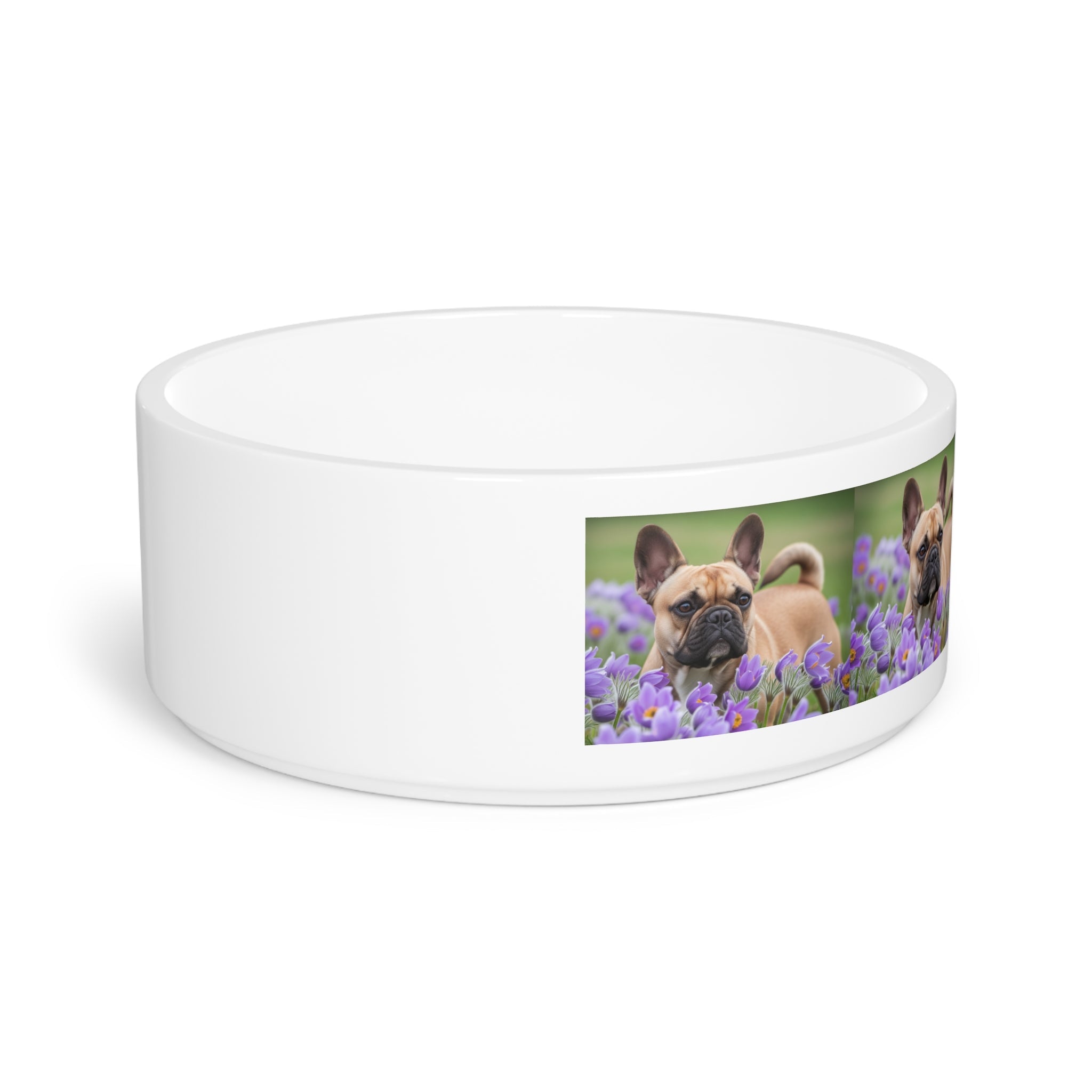 Ceramic Pet Bowl – 16 oz Dog Feeding Bowl