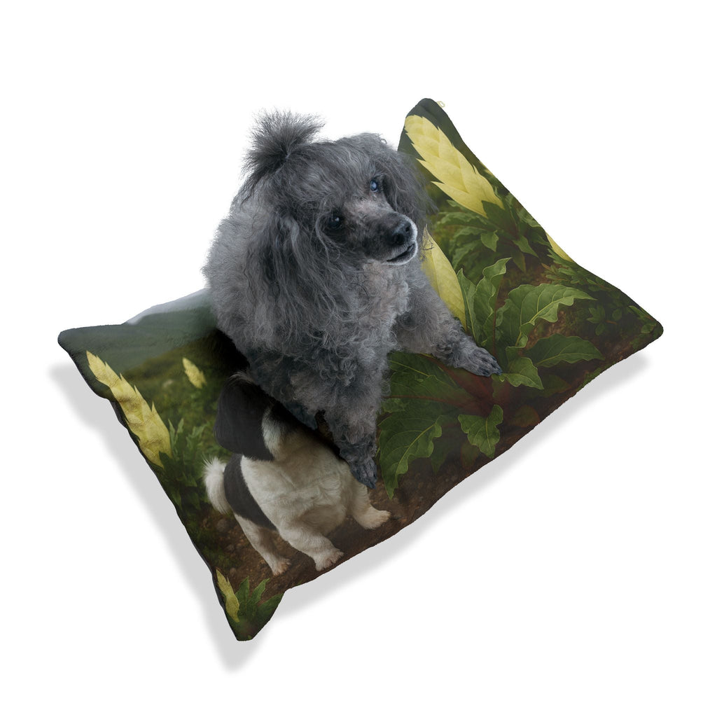 Pet Bed – Plush Dog Bed, 3 Size Options