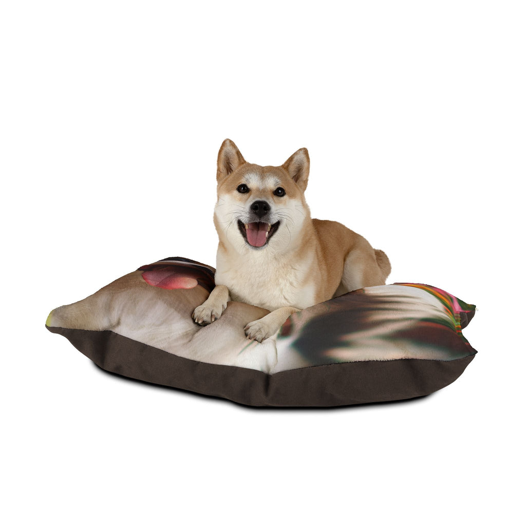Pet Bed – Plush Dog Bed, 3 Size Options