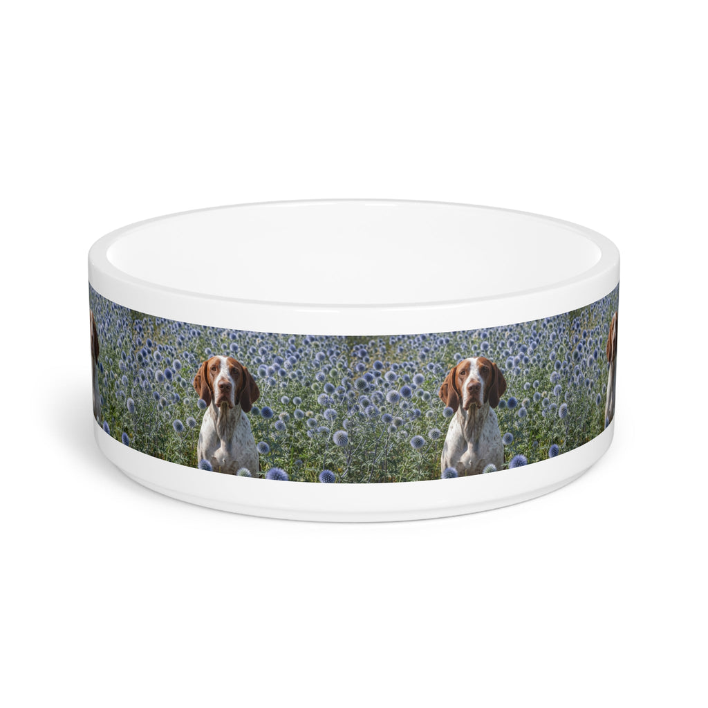 Ceramic Pet Bowl – 16 oz Dog Feeding Bowl