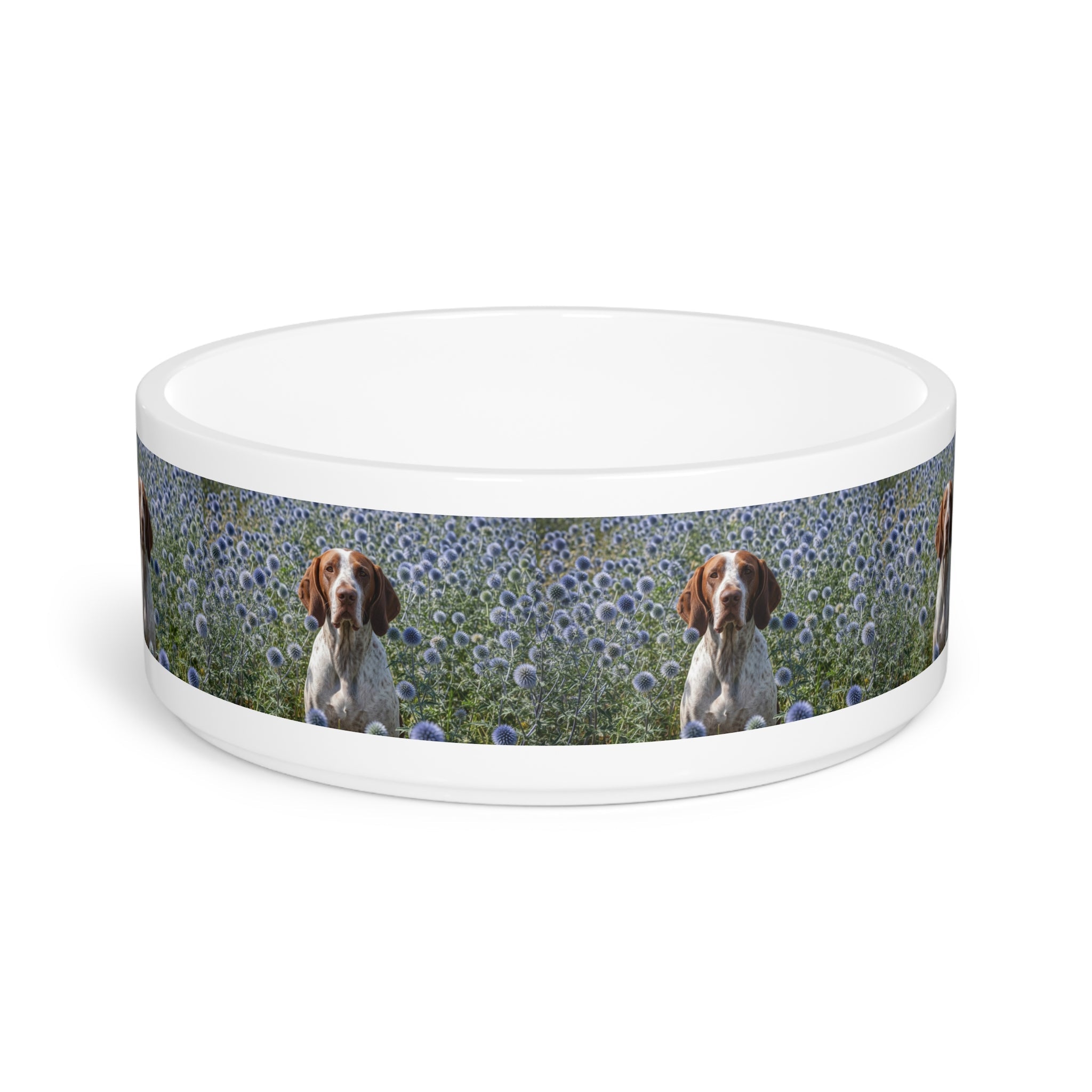Ceramic Pet Bowl – 16 oz Dog Feeding Bowl