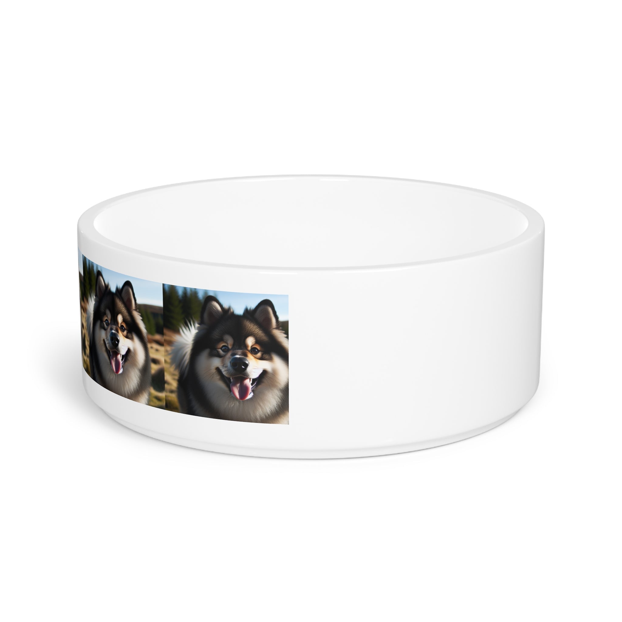 Ceramic Pet Bowl – 16 oz Dog Feeding Bowl