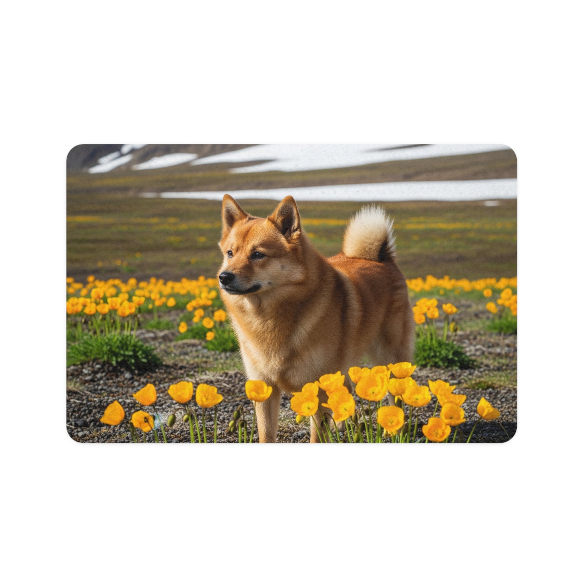 Non-Slip Pet Food Mat – Waterproof Feeding Mat for Dogs