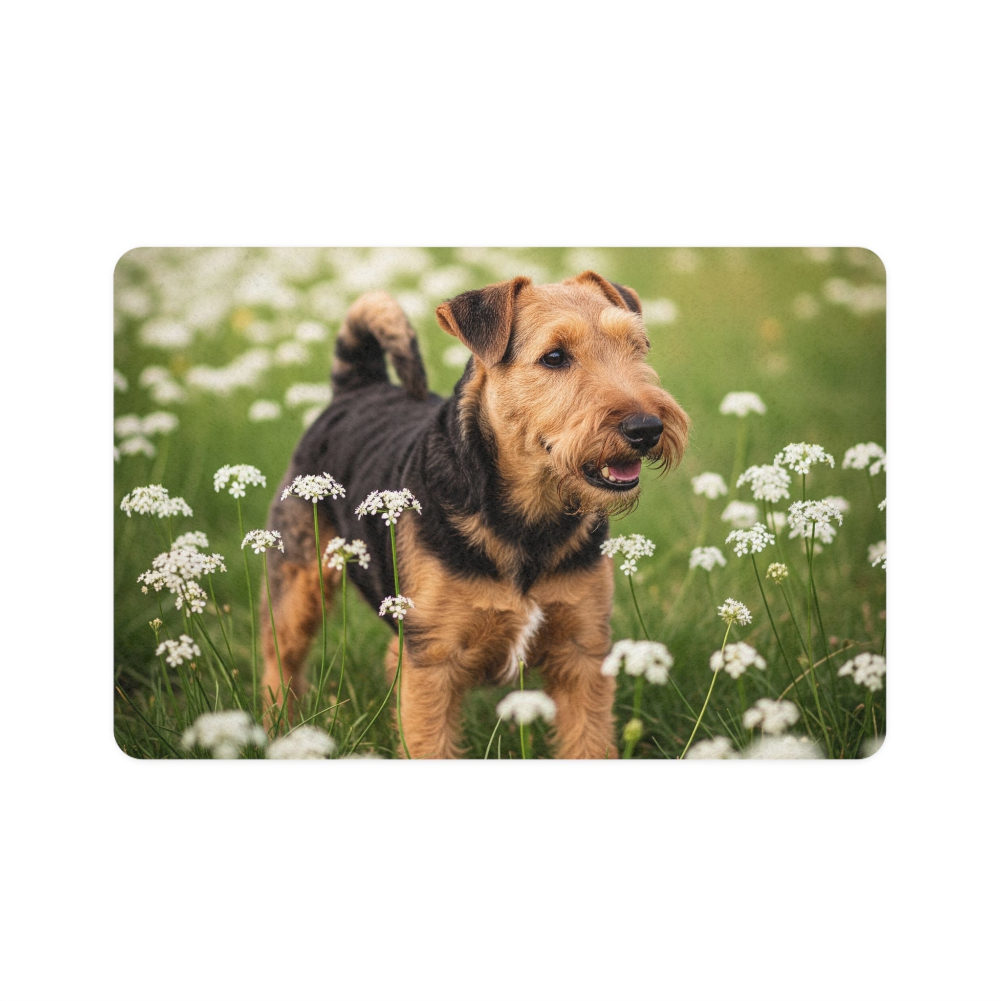 Non-Slip Pet Food Mat – Waterproof Feeding Mat for Dogs