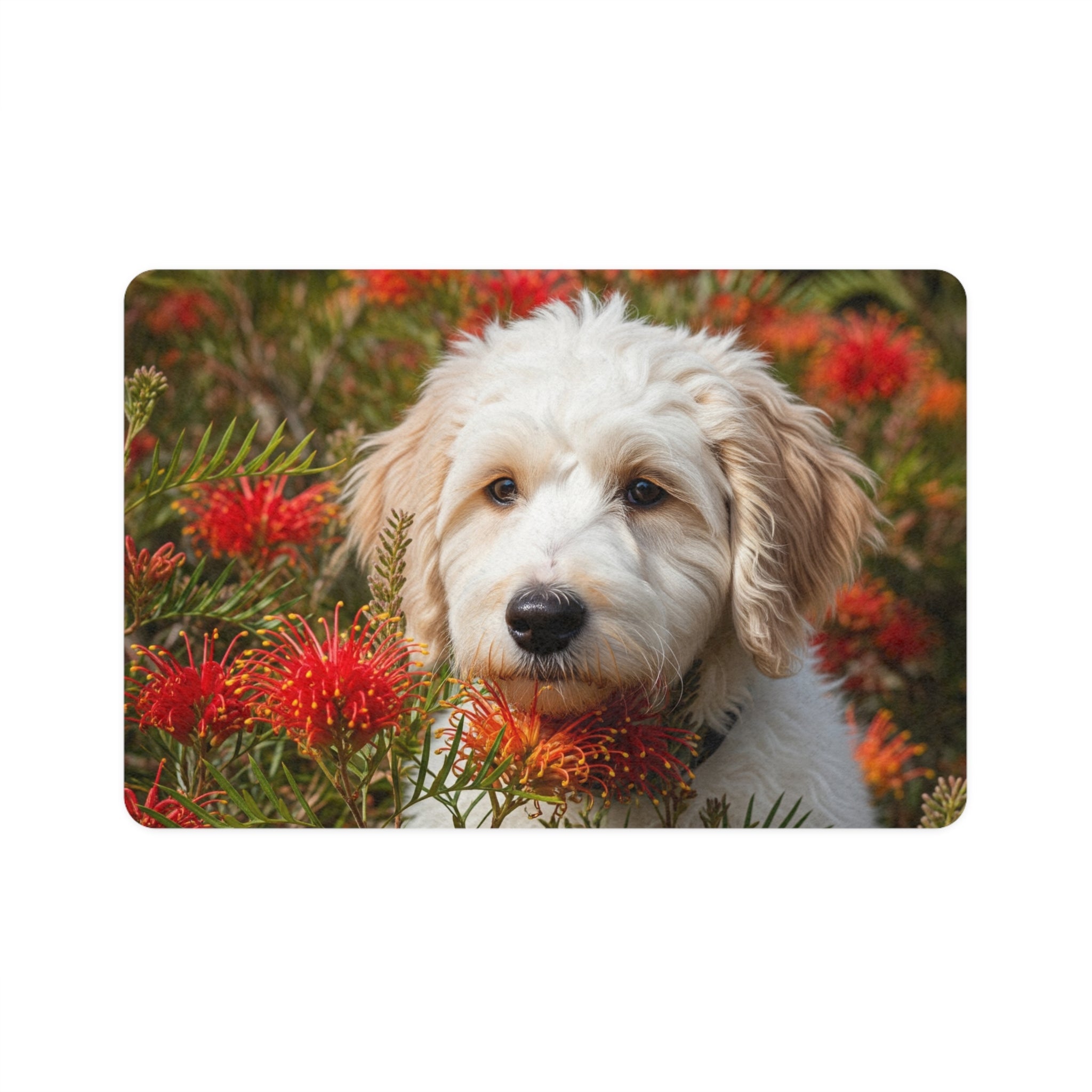 Non-Slip Pet Food Mat – Waterproof Feeding Mat for Dogs