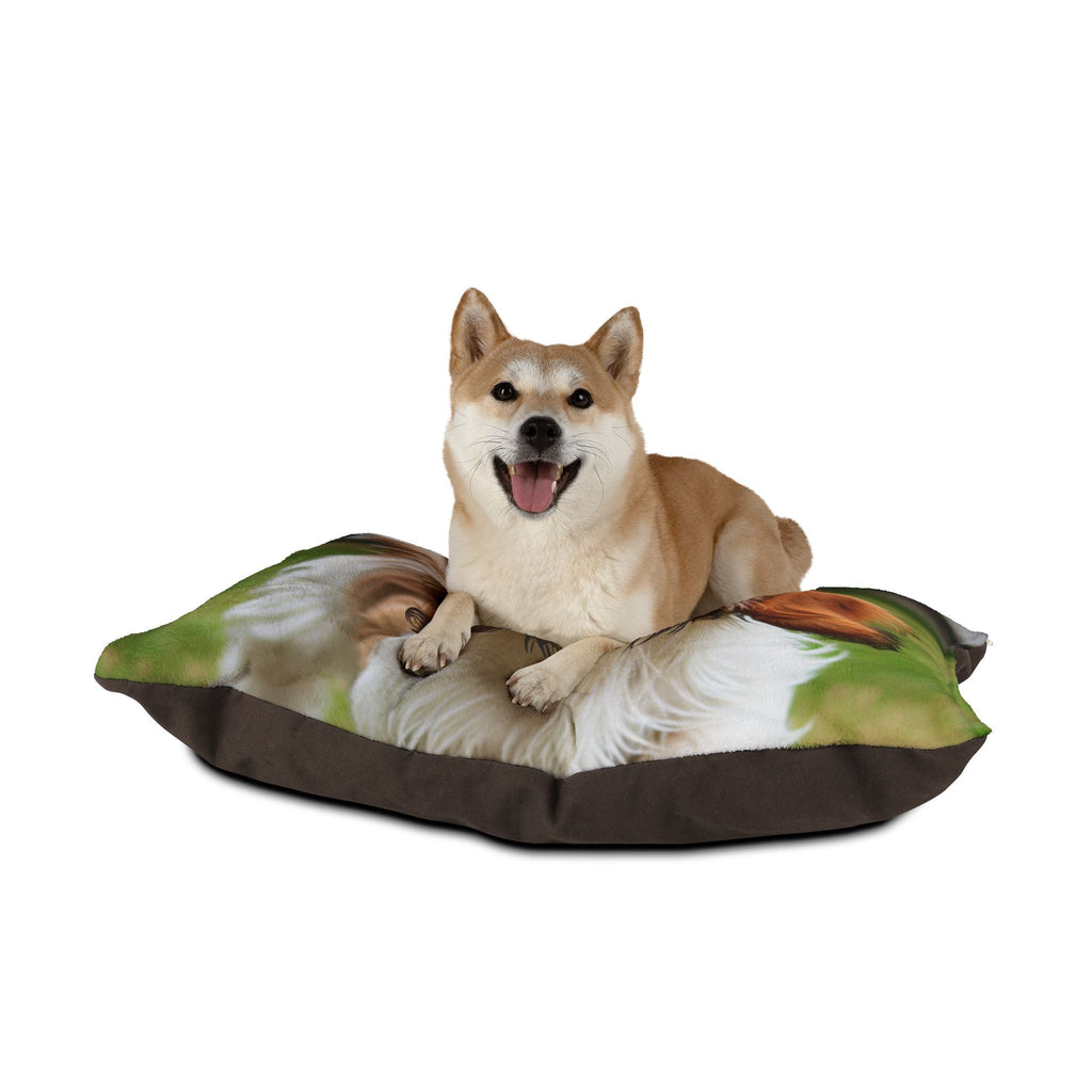 Pet Bed – Plush Dog Bed, 3 Size Options