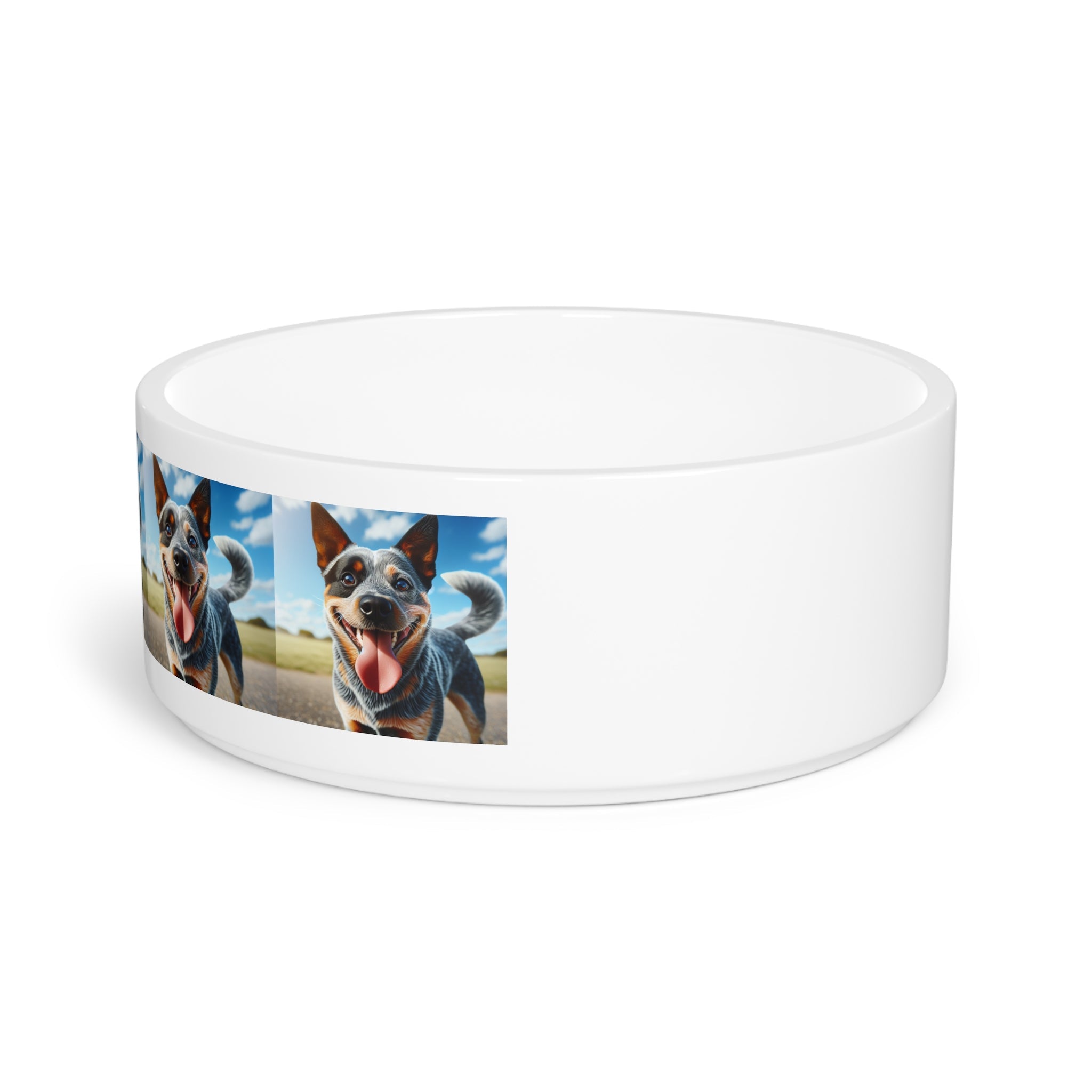 Ceramic Pet Bowl – 16 oz Dog Feeding Bowl