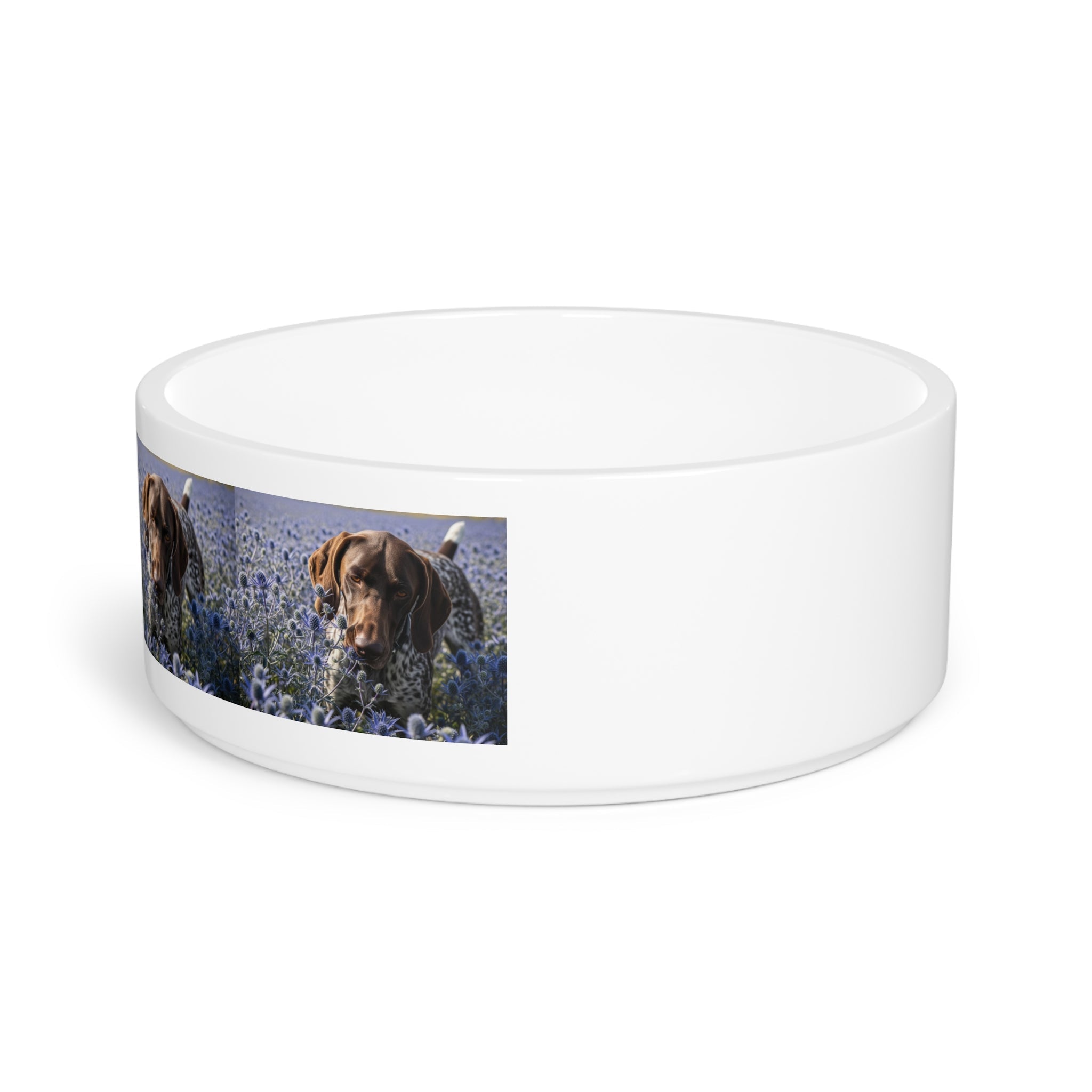 Ceramic Pet Bowl – 16 oz Dog Feeding Bowl