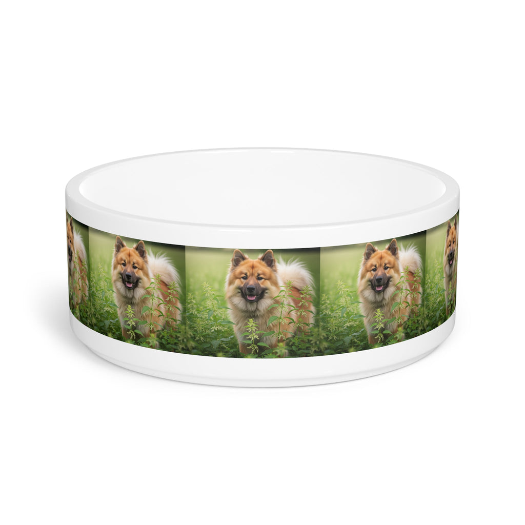 Ceramic Pet Bowl – 16 oz Dog Feeding Bowl