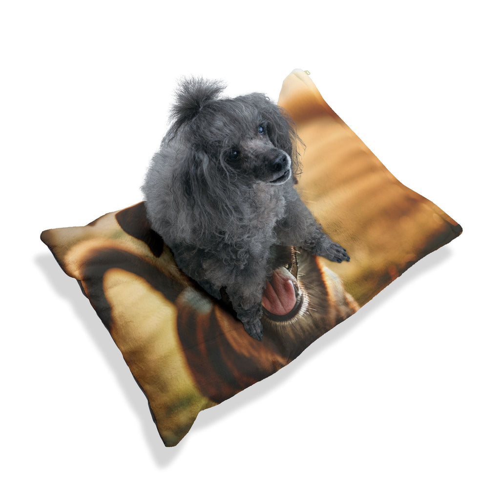 Pet Bed – Plush Dog Bed, 3 Size Options