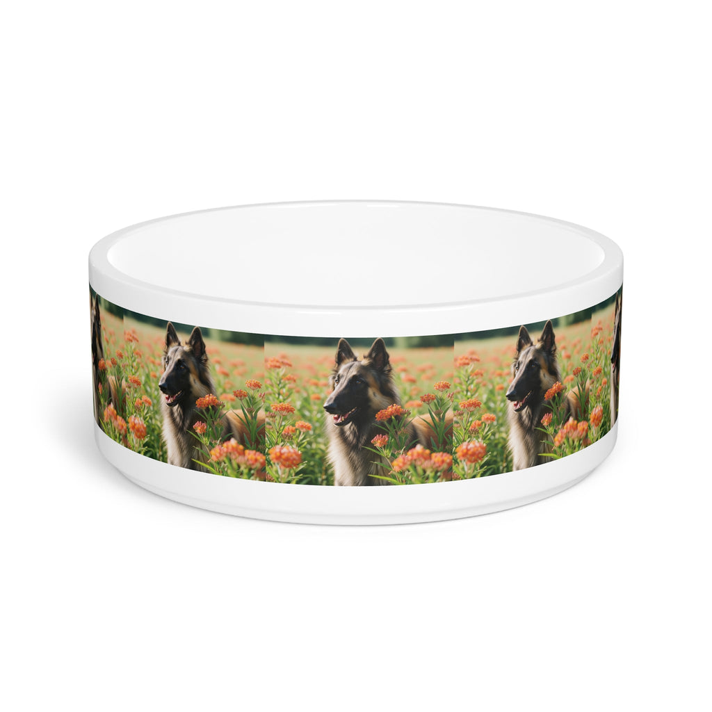Ceramic Pet Bowl – 16 oz Dog Feeding Bowl