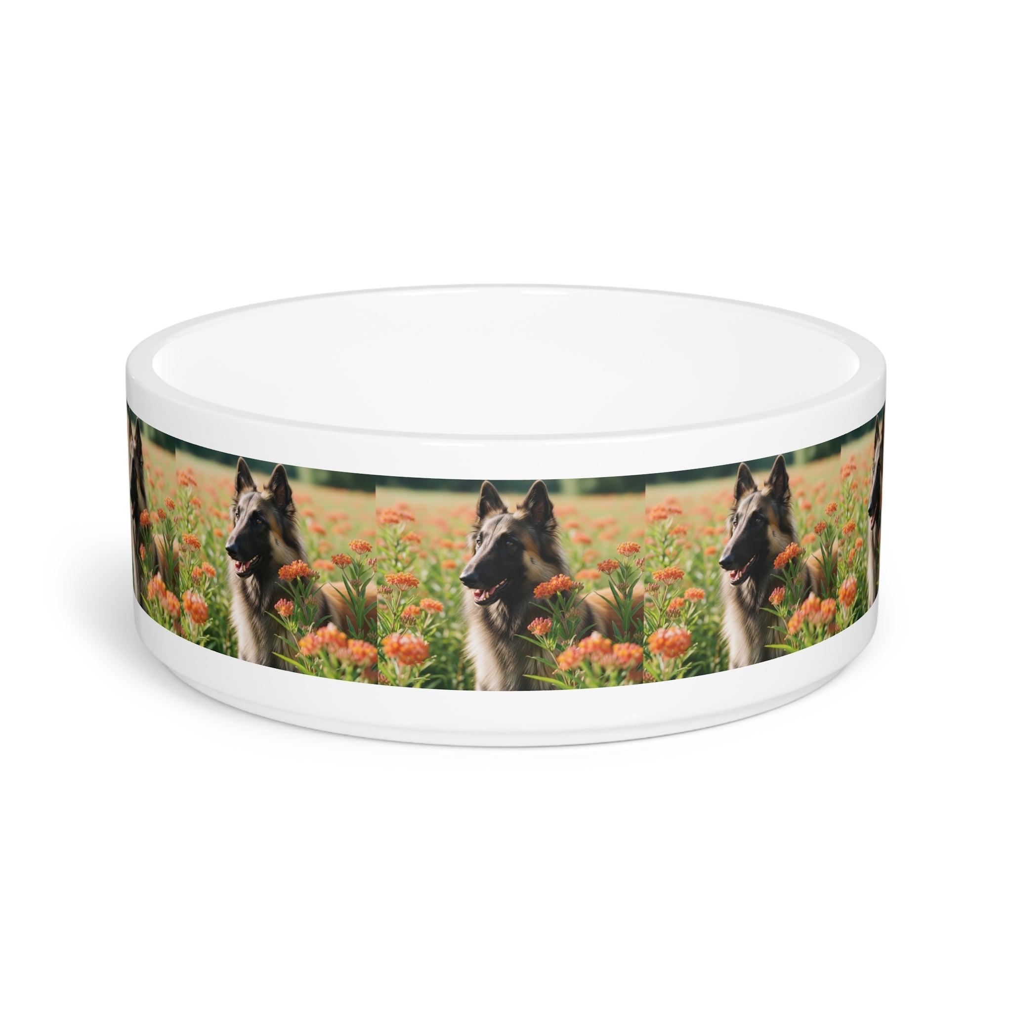 Ceramic Pet Bowl – 16 oz Dog Feeding Bowl