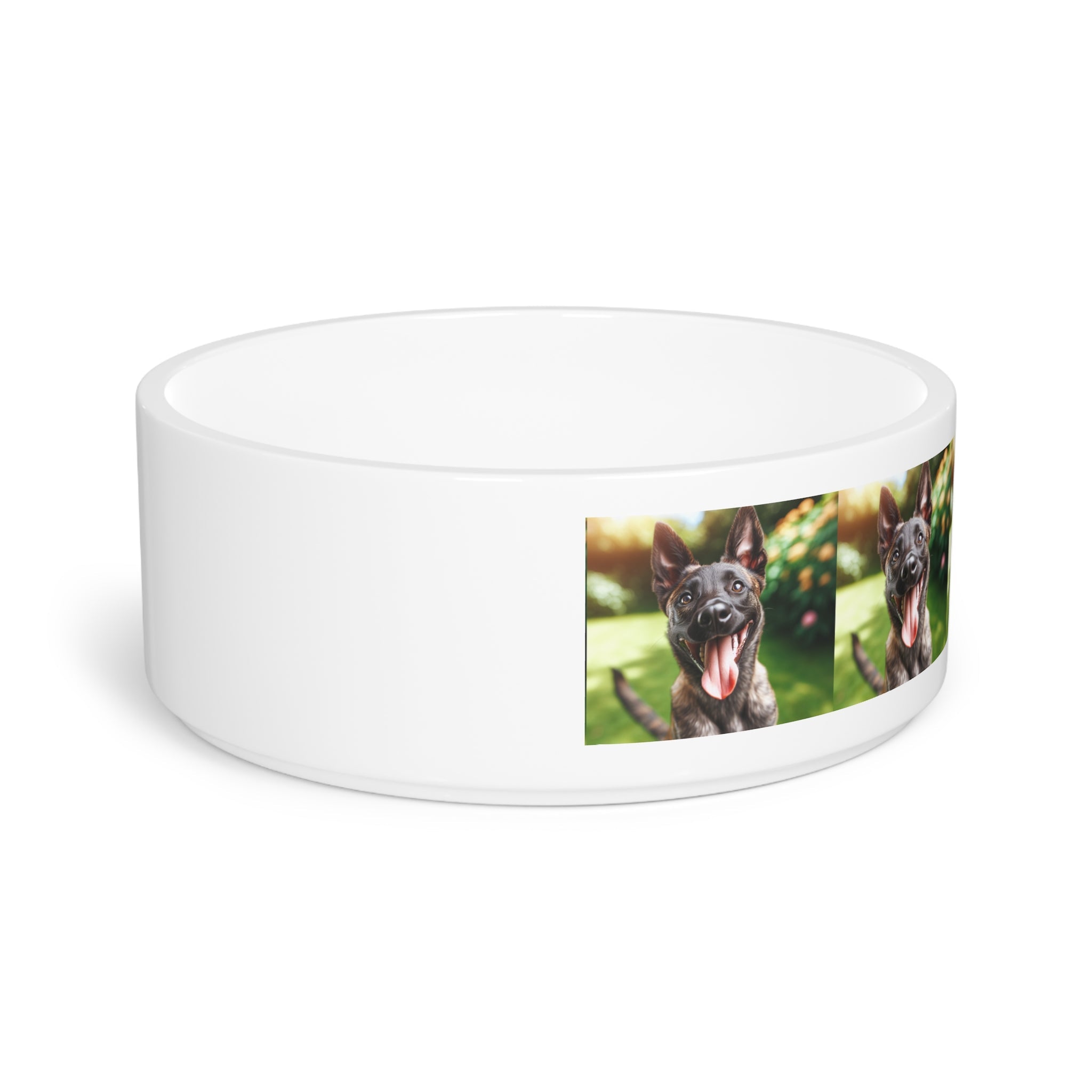 Ceramic Pet Bowl – 16 oz Dog Feeding Bowl