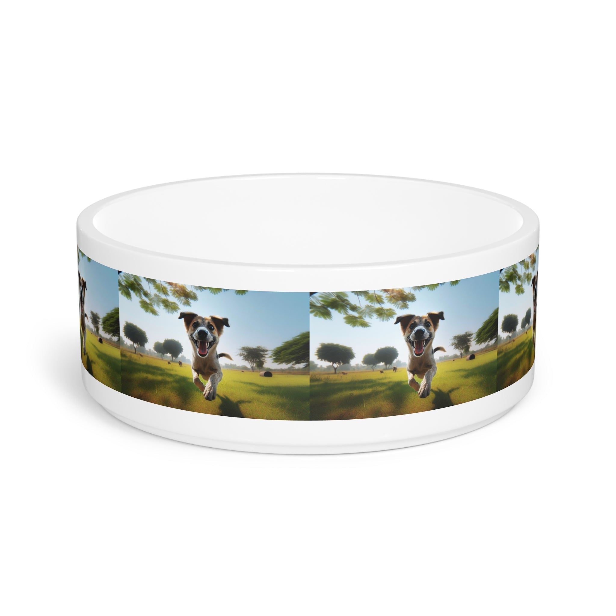 Ceramic Pet Bowl – 16 oz Dog Feeding Bowl