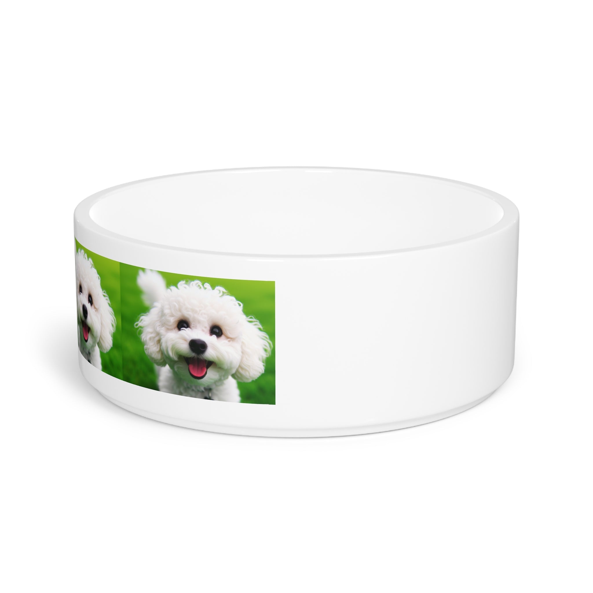 Ceramic Pet Bowl – 16 oz Dog Feeding Bowl