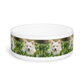 Ceramic Pet Bowl – 16 oz Dog Feeding Bowl