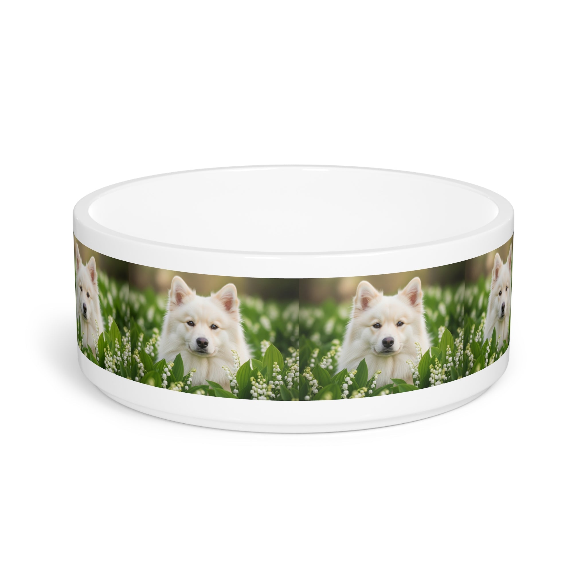 Ceramic Pet Bowl – 16 oz Dog Feeding Bowl