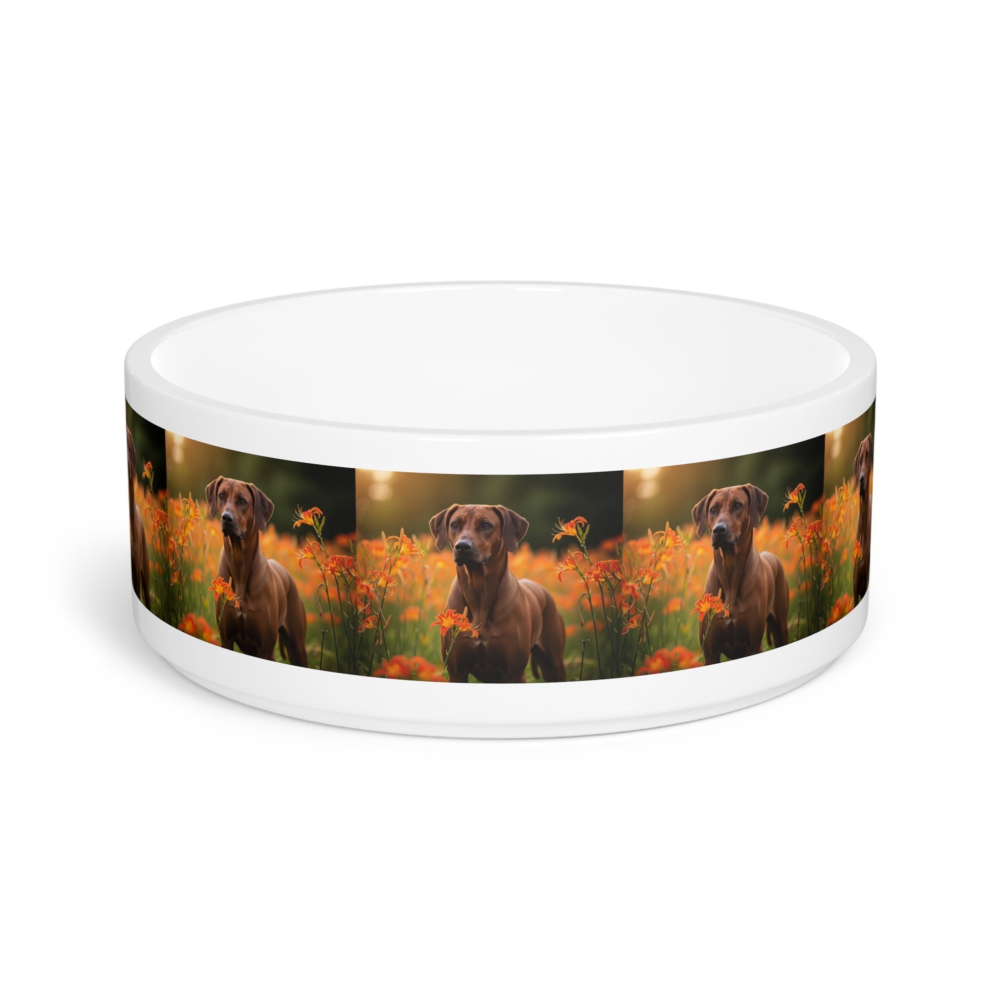 Ceramic Pet Bowl – 16 oz Dog Feeding Bowl