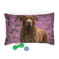 Pet Bed – Plush Dog Bed, 3 Size Options