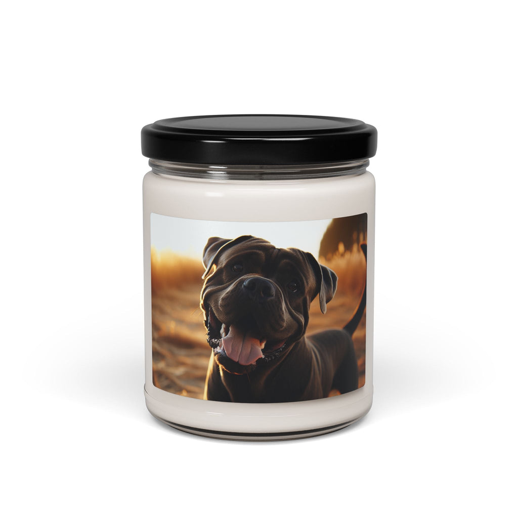Soy Candle – Scented Jar Candle