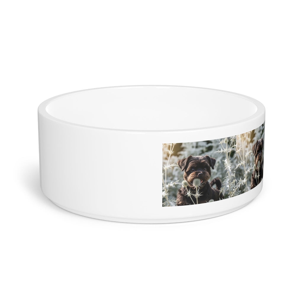 Ceramic Pet Bowl – 16 oz Dog Feeding Bowl
