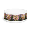 Ceramic Pet Bowl – 16 oz Dog Feeding Bowl