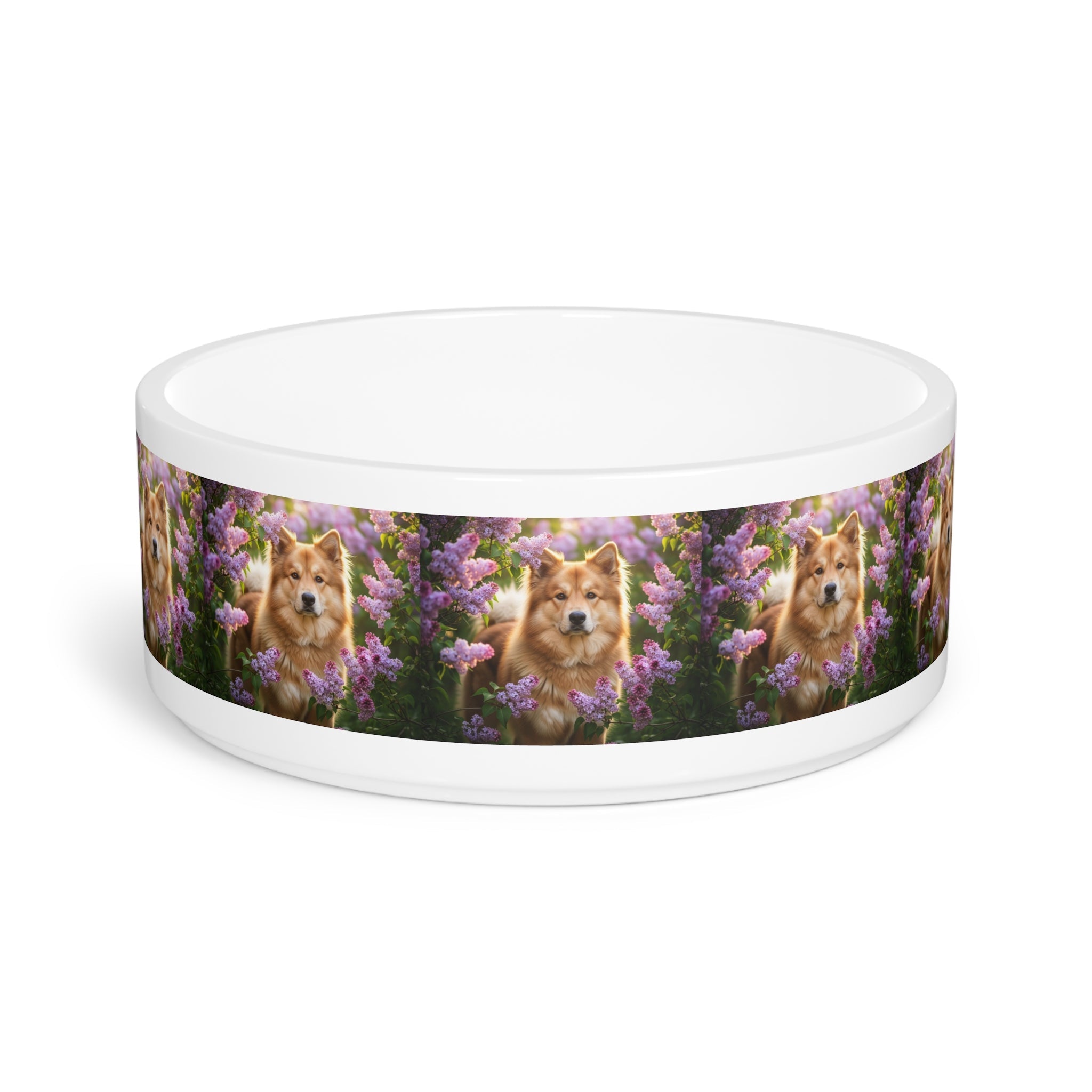 Ceramic Pet Bowl – 16 oz Dog Feeding Bowl