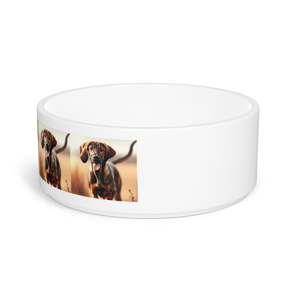 Ceramic Pet Bowl – 16 oz Dog Feeding Bowl