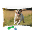 Pet Bed – Plush Dog Bed, 3 Size Options
