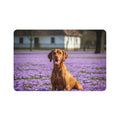 Non-Slip Pet Food Mat – Waterproof Feeding Mat for Dogs