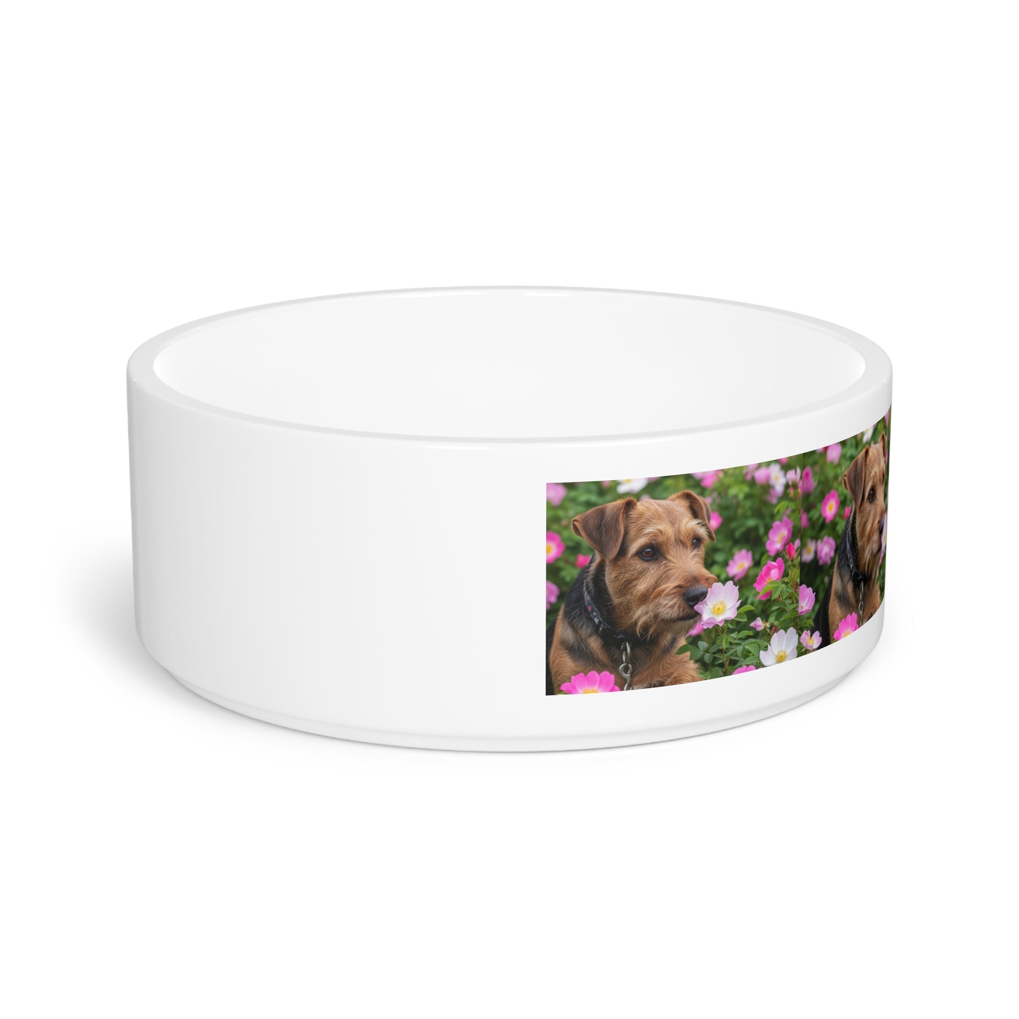 Ceramic Pet Bowl – 16 oz Dog Feeding Bowl