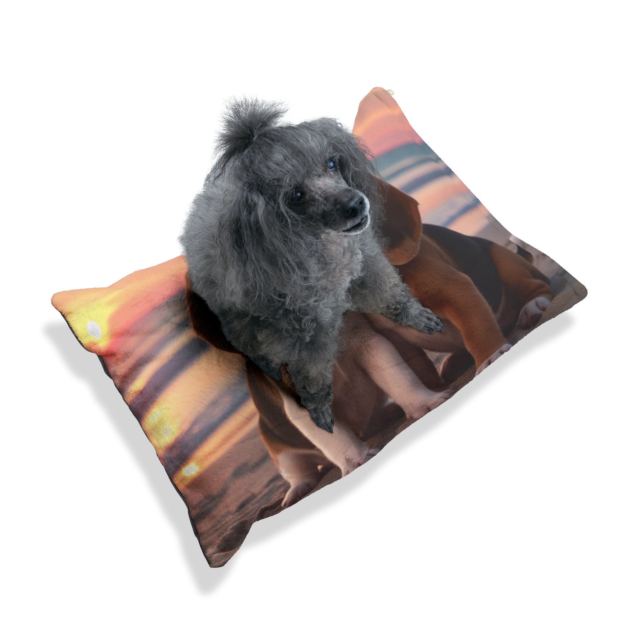 Pet Bed – Plush Dog Bed, 3 Size Options