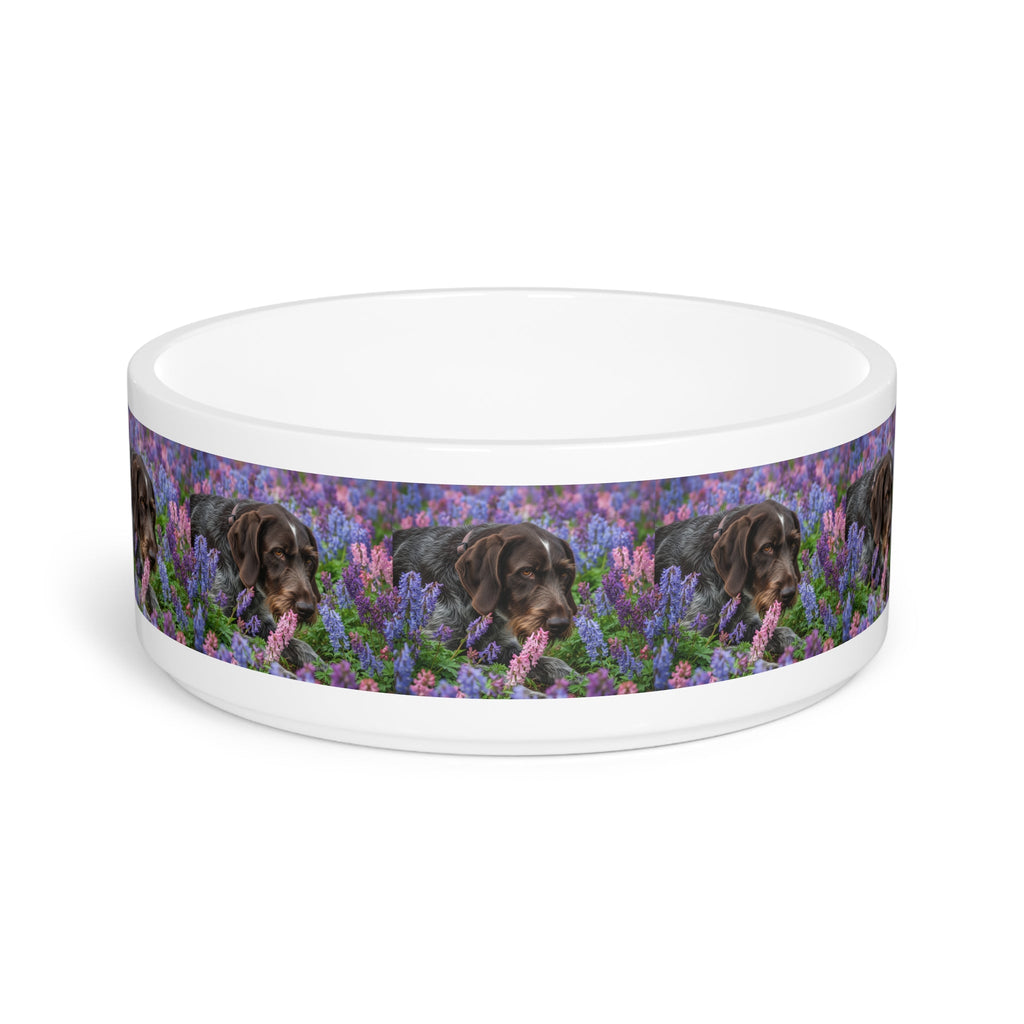 Ceramic Pet Bowl – 16 oz Dog Feeding Bowl